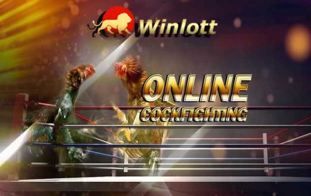 Các nhiệm vụ mà một đại lý cấp độ Abc8 1 cần hoàn thành - Abc8