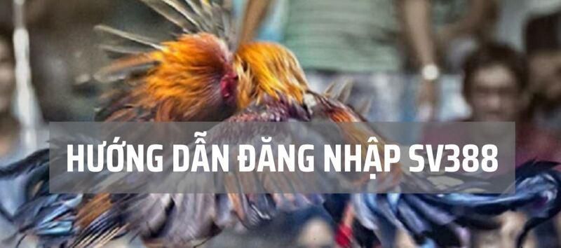 Hướng dẫn rút tiền từ nền tảng Abc8 - Abc8